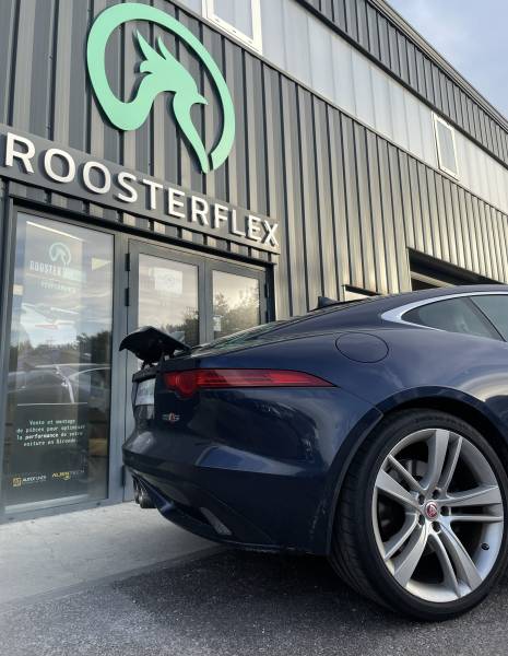 ROOSTERFLEX SPECIALISTE REPARATION JAGUAR A BORDEAUX.